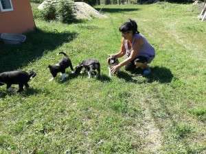 14249204_10202352470810165_804832499_n