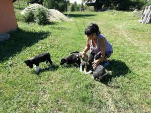 14249310_10202352467170074_1211473412_n