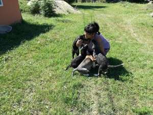 14269460_10202352468370104_2118234172_n