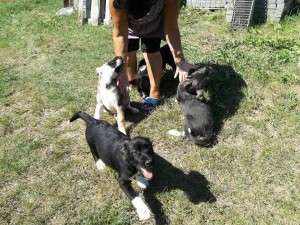 14269879_10202352467690087_1327463702_n