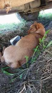 The pain of a desperate, suffering mother