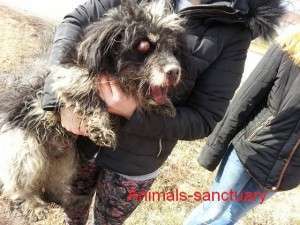 We haven't lost hope...