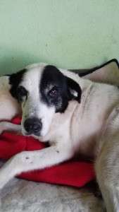 Rest in peace, our beloved Bobby