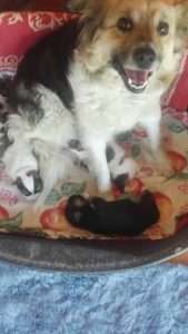 Born in a public toilet! 