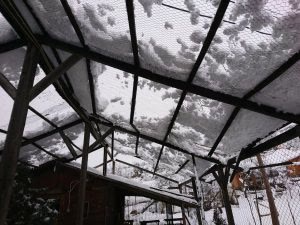 In the brink of the winter holidays width=