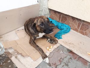 Horror Sunday width=