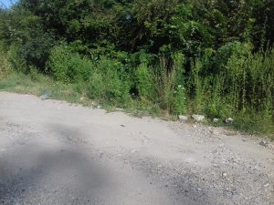 Suffering beyond words!