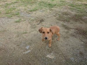 Another soul, another abandonment... 
 width=