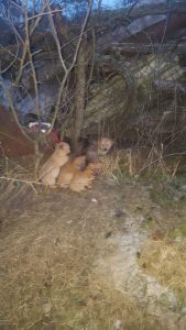 A special gift for Christmas width=